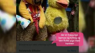 Møg unge kyling og bamse