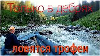 В поисках хариуса забрались в такую глушь. Впервые на Алтае ловим мега кабанов/Новая река #2