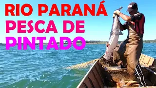 PESCA DE PINTADO NO RIO PARANÁ  FISHING FOR BIG FISH