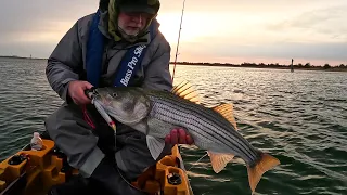 Striped Bass in the Cold at Dawn of New Season!
