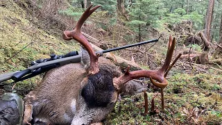 Another year of chasing Sitka blacktail in the Rut, Fall of 2022.