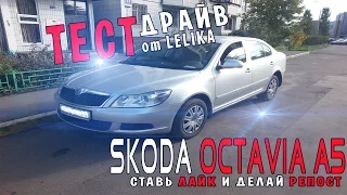 Тест-Драйв от LELIKA #3 Skoda Octavia A5