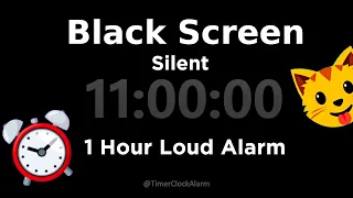 Black Screen 🖥 11 Hour Timer (Silent) 1 Hour Loud Alarm  | Sleep and Relaxation