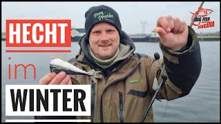 Hechtangeln im Winter: Grundangeln mit Köderfisch | Gregor trifft den Profi