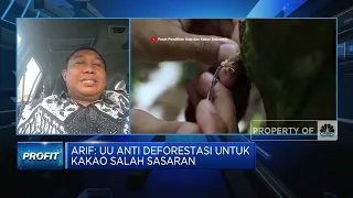 Petani Kakao: UU Anti Deforestasi Bikin Uni Eropa Rugi Sendiri!