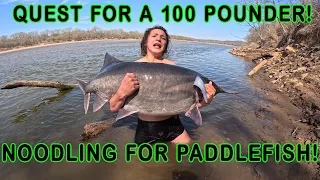 Noodling for Paddlefish! The Quest for a 100 Pound Fish Continues!! We Try Snagging and Noodling!