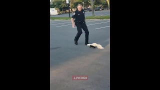 Skunk sprays police officer