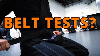 What's The Deal With BJJ Belt Tests?