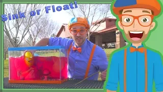 Sink or Float with Blippi | Fun Science Videos for Kids