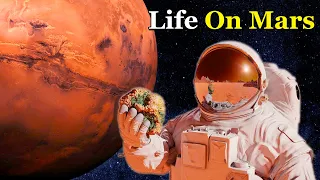 The Red Planet: An Exploration of Life on Mars | Space Documentary