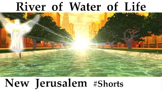 New Jerusalem – River of Water of Life – Revelation 22:1,2 – The Holy City. #Shorts