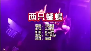 小阿枫《两只蝴蝶》DJ京仔版 KTV 导唱字幕 （备有伴奏视频）