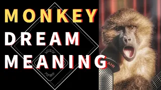 Dream about Monkey: interpretation and meaning. what do dreams mean?Decoding Your  Monkey Dreams