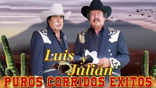 Luis y Julian Grandes Exitos Canciones - Mix Para Pistear