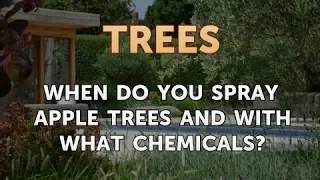 When Do You Spray Apple Trees and With What Chemicals?