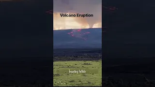 Volcano Eruption in Hawaii - RARE Event as Mauna Loa and Kilauea Erupt at the Same Time