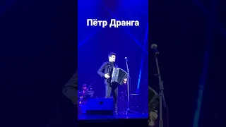 Пётр Дранга! Великолепный! Как вам? #петрдранга #music #shorts