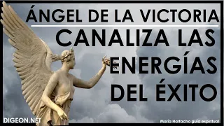 💌MENSAJE de los ÁNGELES PARA TI DIGEON💌ÁNGEL de la VICTORIA❤CANALIZA ENERGÍAS PARA EL ÉXITO🔴ensVERTI