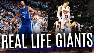 World's Tallest Basketball Players Ever (Not in the NBA)