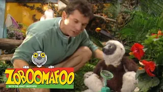 Zoboomafoo with the Kratt Brothers! GREEN CREATURES | Full Episodes Compilation