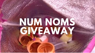 Num Noms Duplicates Giveaway! Num Noms for my Subbies! Thanks for 500 Subscribers! 😻