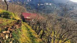 Tranquillity and tranquillity in nature-village life