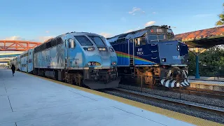 Amtrak & Tri-Rail Commuter Trains @ Fort Lauderdale, Florida (1/31/24)