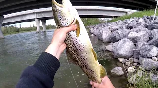 Как ловить форель в горной реке, убойный клев. Bow River Fishing