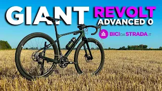 TEST - Giant Revolt Advanced 0