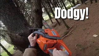 This One Could Be Dodgy - Tree Felling - Husqvarna 435 Chainsaw