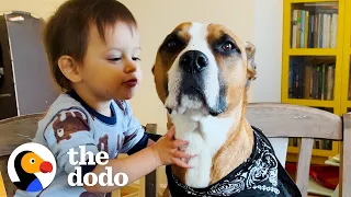 Dog With Wildest Zoomies Completely Transforms For His New Baby Bro | The Dodo