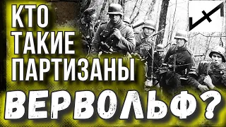 Кто такие партизаны "Вервольф"? Диверсанты в тылу союзников и РККА  [ thediscoveryterritory ]