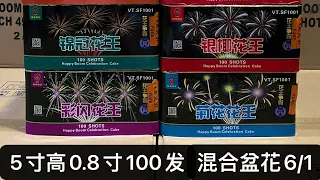 Fireworks Cake 0.8”100 Shots - 5寸高0.8寸100发花王争霸烟花(自立型) - 2022 现货「财神烟花」