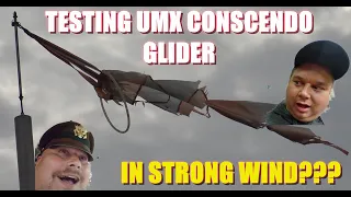 TESTING UMX EFlite Conscendo glider 3S power in STRONG WIND???