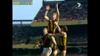 VFL 1983 Grand Final Hawthorn Vs Essendon