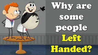 Why are some people Left Handed? + more videos | #aumsum #kids #science #education #children