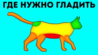 100+ фактов, о которых мало кто слышал