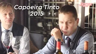 Casal Branco Capoeira Tinto 2015 вино на каждый день