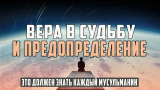 Билал Асад || ТЕРПЕНИЕ и ПРЕДОПРЕДЕЛЕНИЕ || КАДР и САБР.