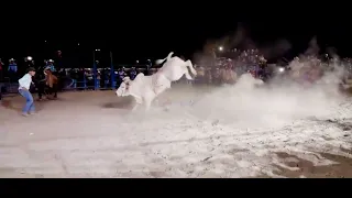 accidente de Rafa rojas vs el toro campeón el jefe de las plazas 🚫🔥