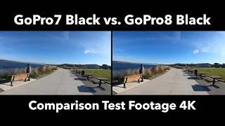 GoPro 7 Black vs. GoPro 8 Black Video Comparison Test (4K Footage)