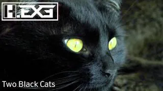 H.EXE - Two Black Cats