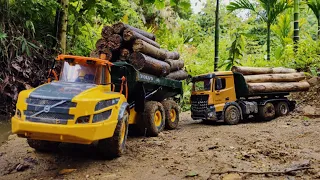 rc truck transporting wood on bad road, dangerous high slope, traffic accident