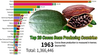 Top 20 Cocoa Bean Producing Countries || Top 20 Cocoa Bean Production Countries ||