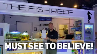 Amazing Fish Store in Colorado | Aquarium Store Tour & Review