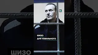 ШИЗО для Навального #shorts