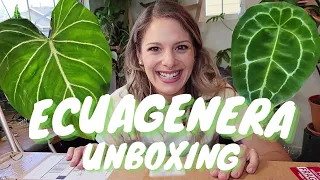 Ecuagenera Unboxing | First Plant Import, Anthurium & Philodendron