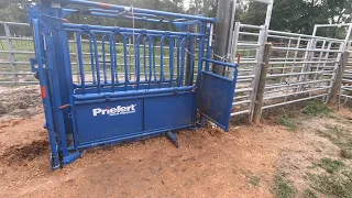 Building a catch pen and Preifert SO1