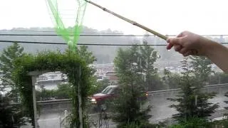 Large hail storm late may