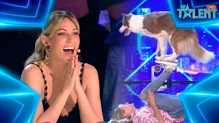 This DANCING DOG will impress you with his CHOREOGRAPHY | Auditions 1 | Spain's Got Talent 7 (2021)